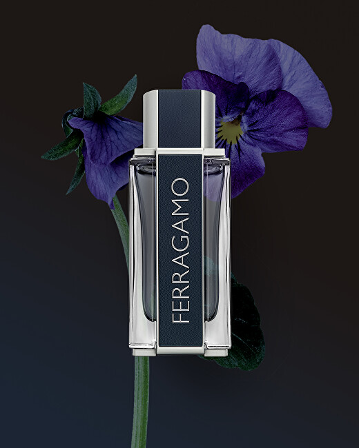 Salvatore Ferragamo Ferragamo - EDT 100 ml + 2v1 sprchový gél a šampón 100 ml + EDT 15 ml Darčeková sada
