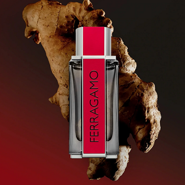 Salvatore Ferragamo Ferragamo Red Leather - EDP 50 ml