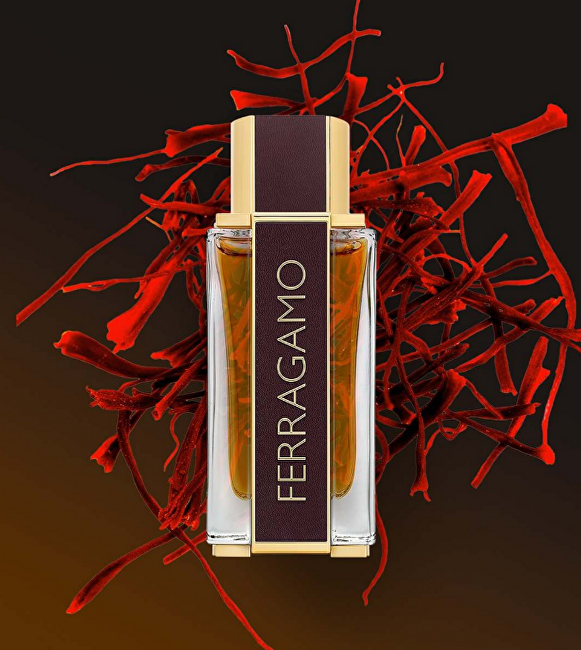 Salvatore Ferragamo Ferragamo Spicy Leather Pour Homme Special Edition - parfém 100 ml
