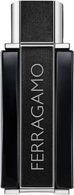 Salvatore Ferragamo Ferragamo Sublime Leather - EDP 100 ml