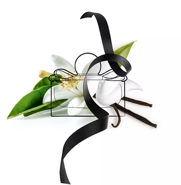 Salvatore Ferragamo Signorina Misteriosa - EDP 100 ml