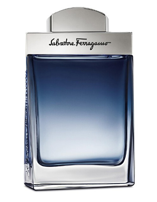 Salvatore Ferragamo Subtil Pour Homme - EDT 100 ml