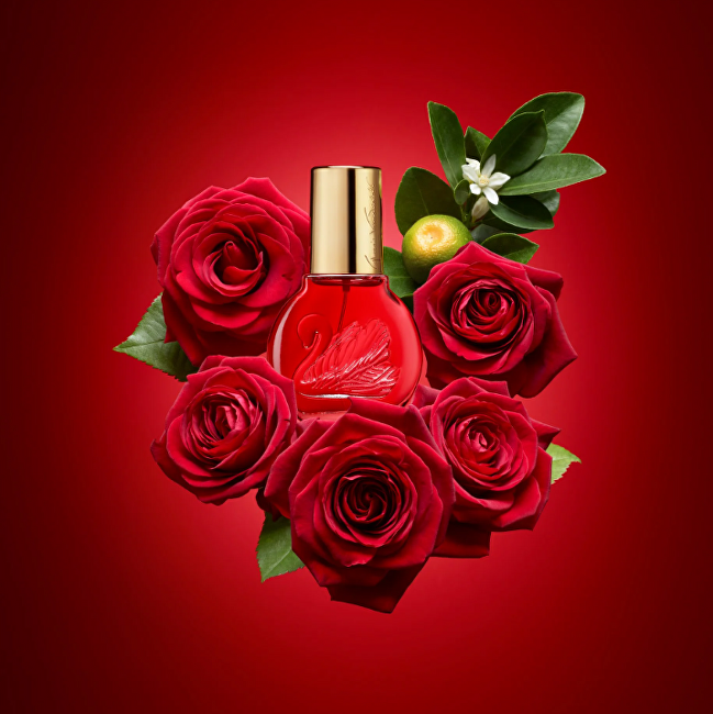 Vanderbilt In Red - EDT 100 ml + tělové mléko 100 ml