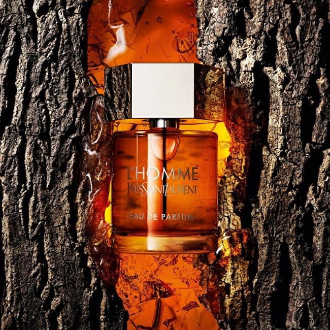 L´Homme - EDP