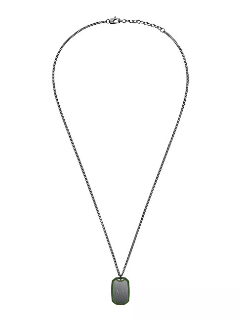 Armani Exchange Oceľový náhrdelník pre mužov Psie známka AXG0170060 sivá, zelená