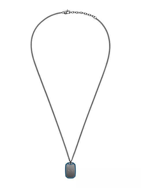 Armani Exchange Ocelový náhrdelník pro muže Psí známka AXG0171060 modrá, šedá