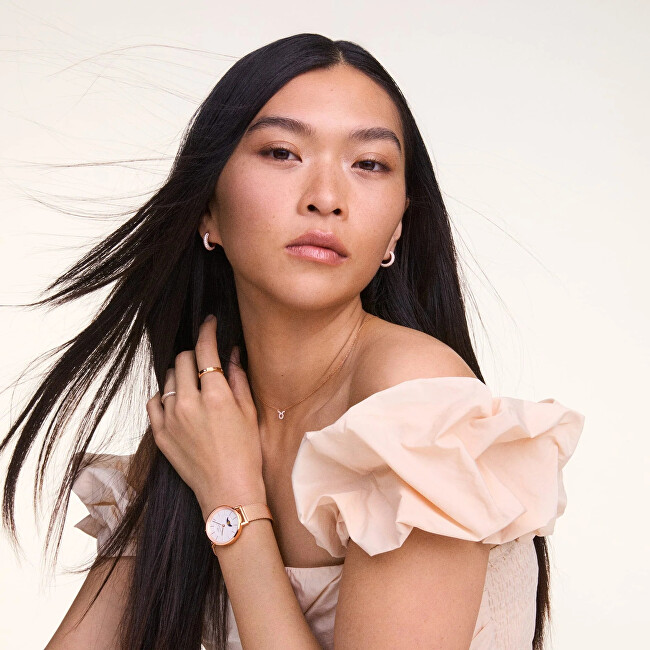 Daniel Wellington Něžný pozlacený náhrdelník znamení Býk Crystal Zodiac DW00400920
