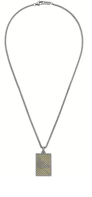 Emporio Armani Bicolor náhrdelník z oceli Psí známka EGS3239060