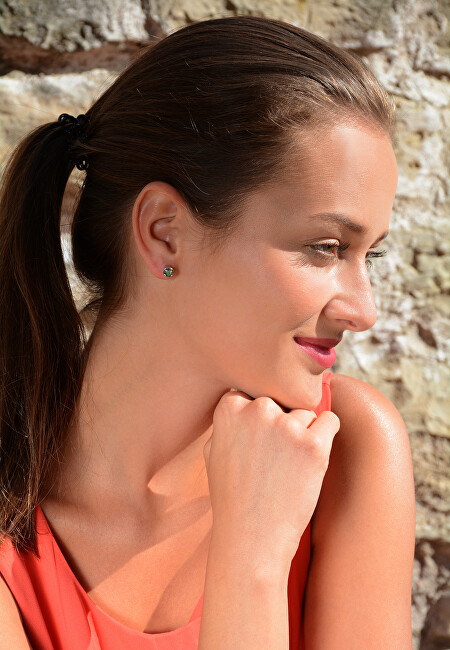 Evolution Group Náušnice s krystaly Swarovski 31113.2 krystal ab