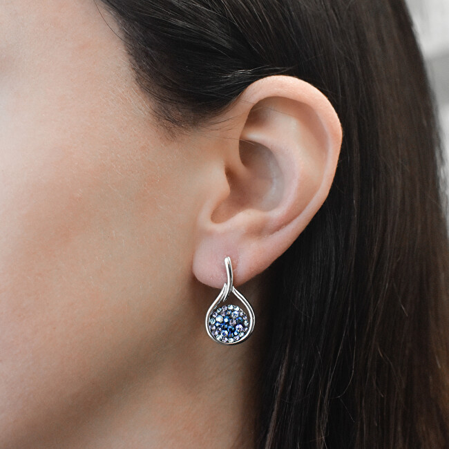 Evolution Group Nadčasové stříbrné náušnice s krystaly Swarovski 31305.1