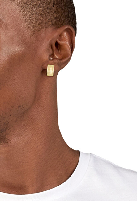 Lacoste Pozlacené kruhové náušnice Backhand 2040436