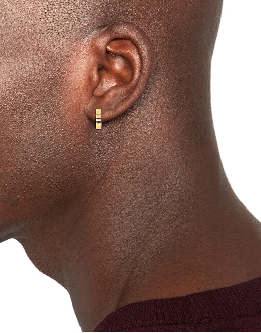 Tommy Hilfiger Pozlacené kruhové náušnice Men`s Earrings 2790586