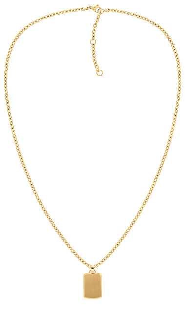 Tommy Hilfiger Fashion pozlátený náhrdelník z ocele 2780822