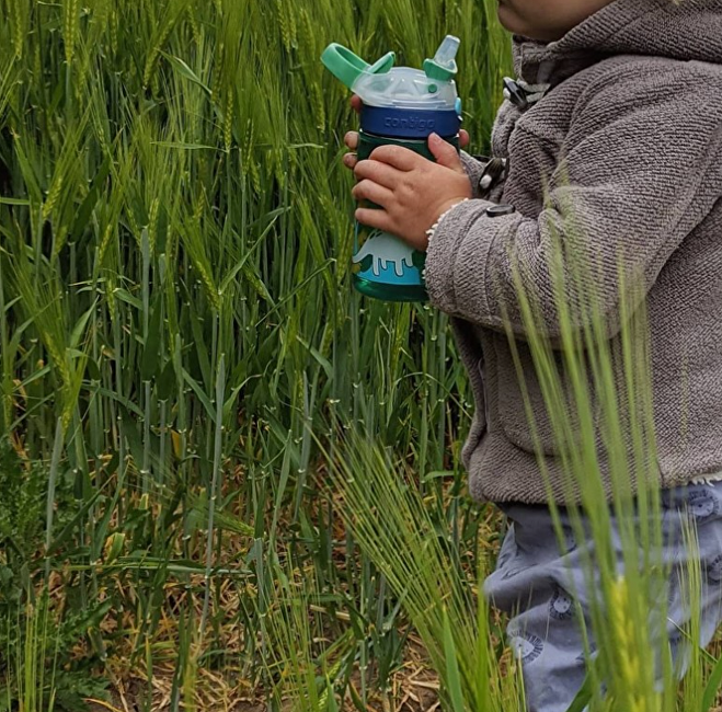 Contigo Dětská láhev Gizmo Flip - Jungle Dino 420 ml