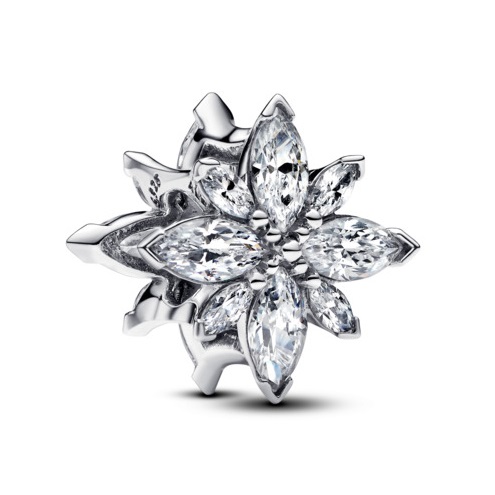 PANDORA Mod. 793591C01 main image 1