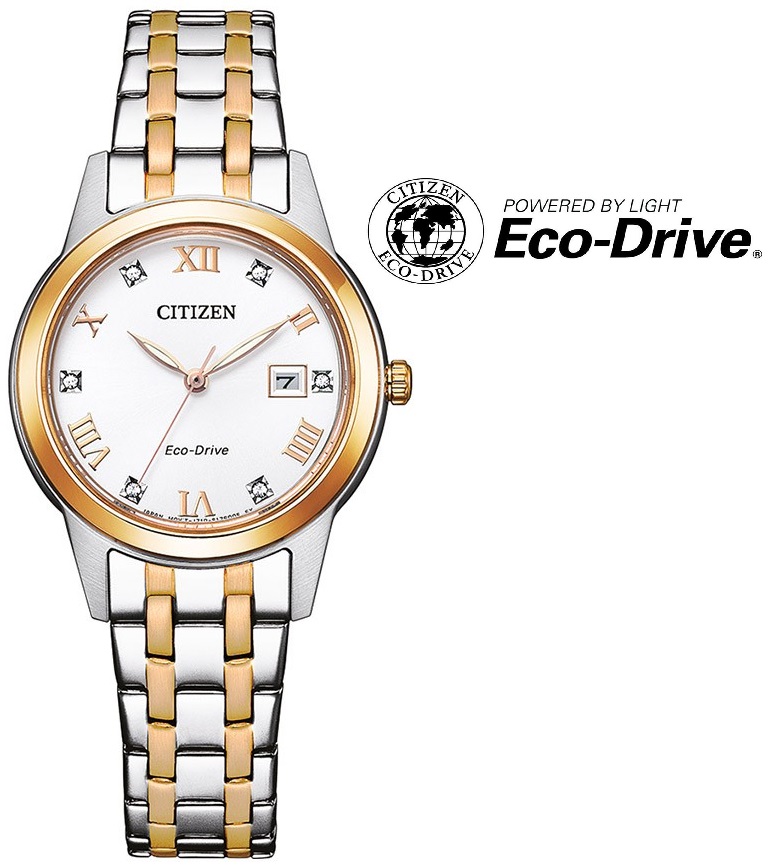 Levně Citizen Eco-Drive Classic FE1246-85A