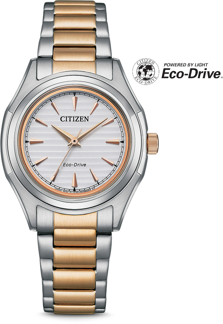 Levně Citizen Eco-Drive Classic FE2116-85A