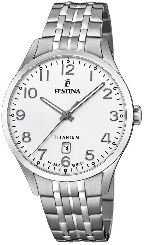 Festina Titanium Date 20466/1