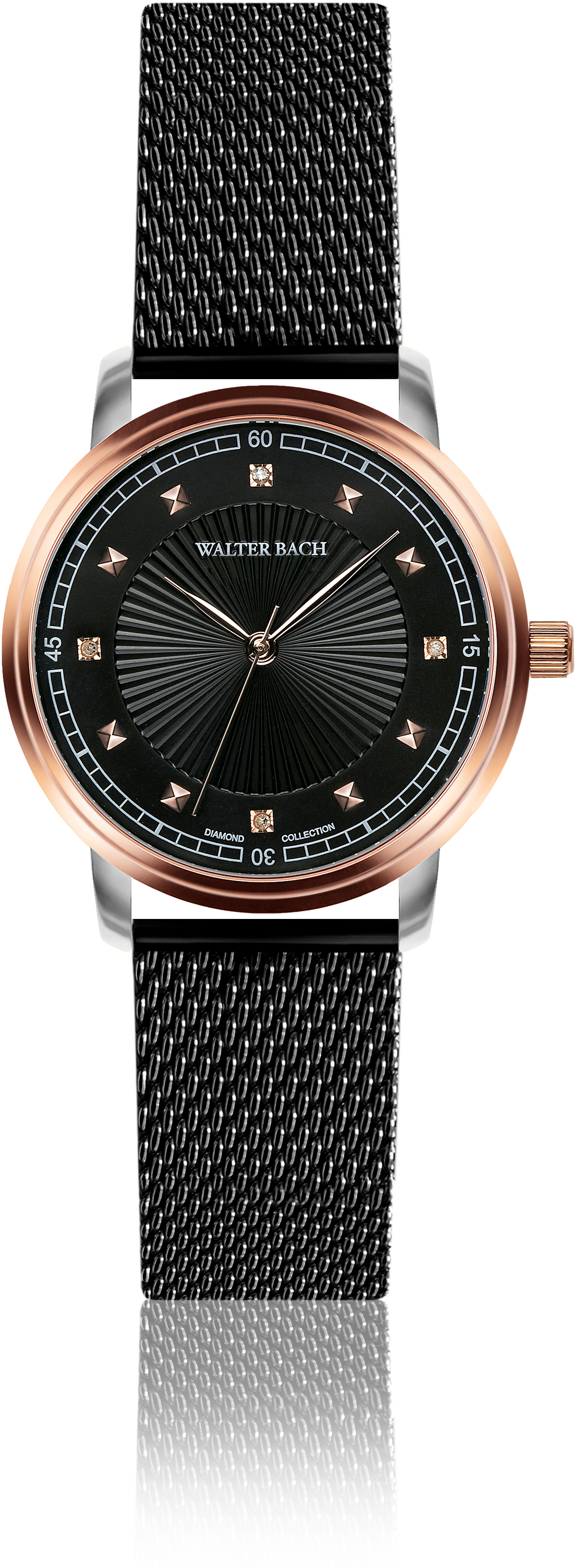 Walter Bach BAI-3318