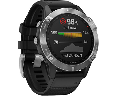 fenix 6s size