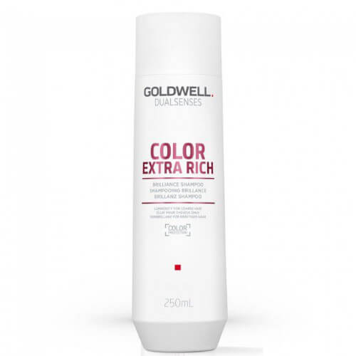 Goldwell Šampon pro extra péči o barvené vlasy Dualsenses Color Extra Rich (Brilliance Shampoo) 250 ml