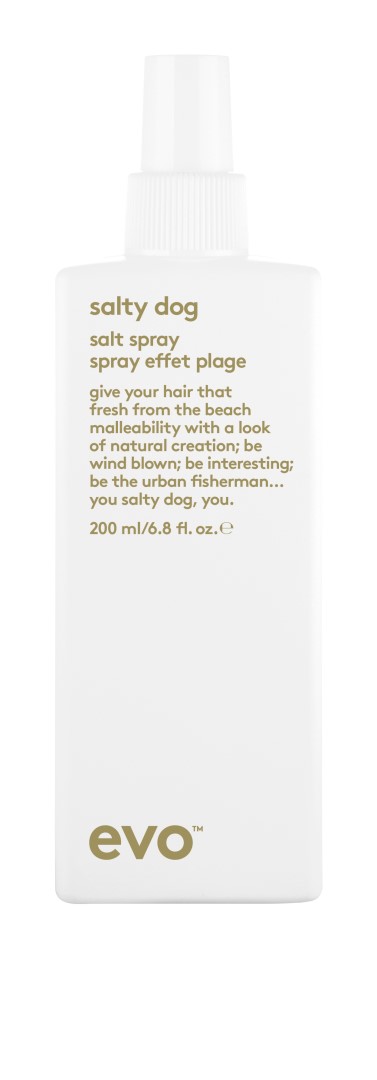 evo Texturizační slaný sprej Salty Dog (Salt Spray) 200 ml