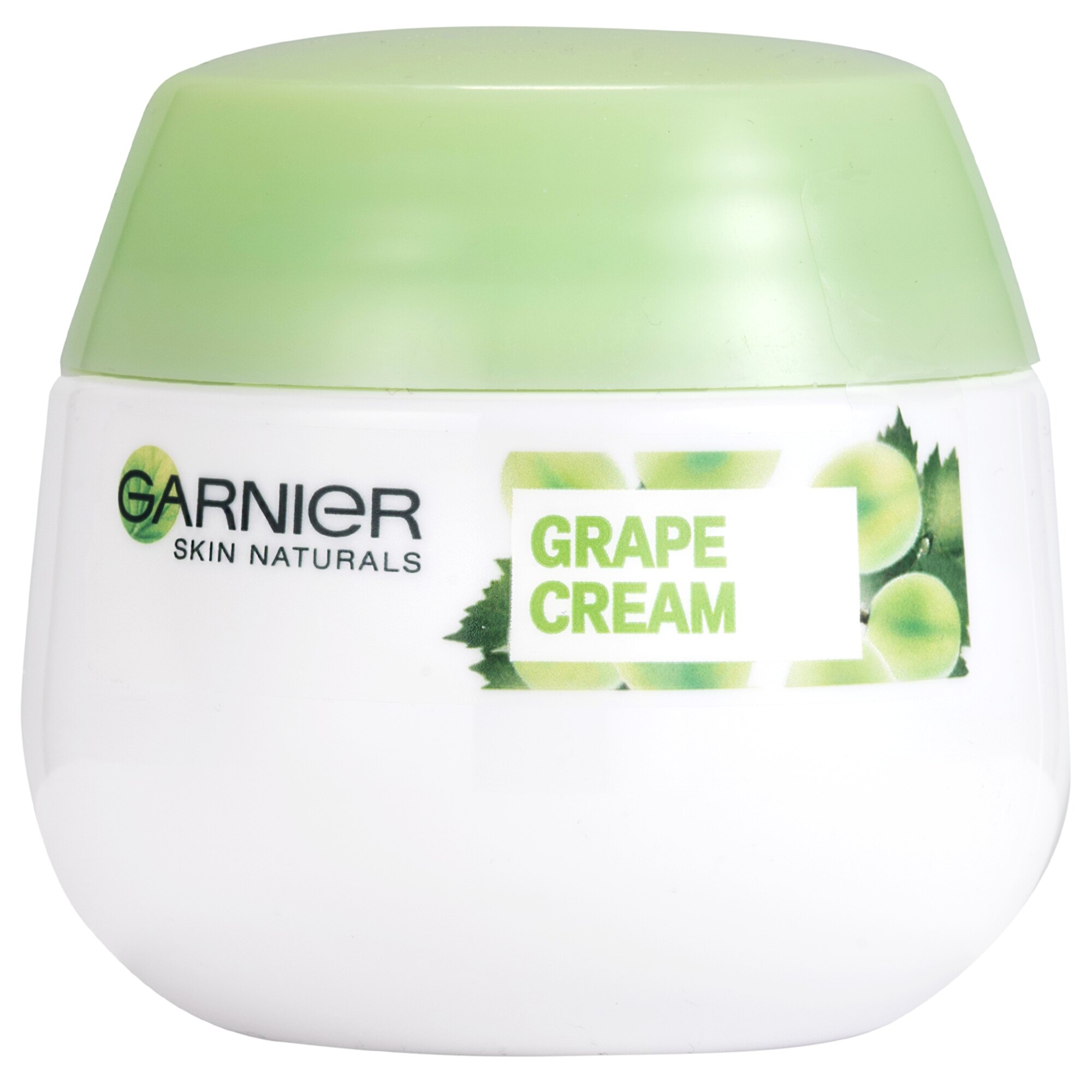 Garnier Cremă hidratantă pentru ten normal până la mixt 48H Skin Naturals (Botanical Cream) 50 ml
