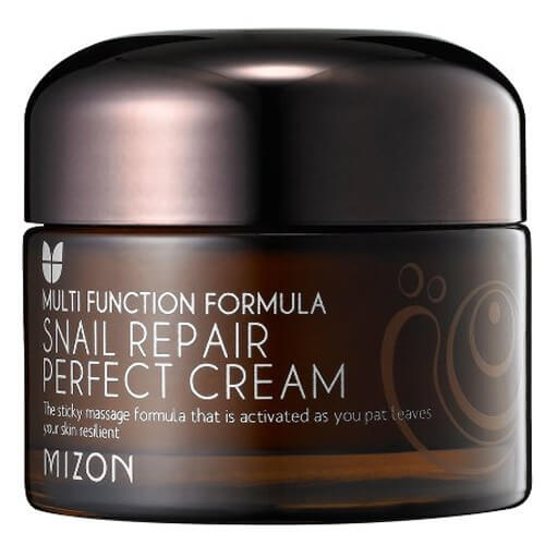 Zobrazit detail výrobku Mizon Pleťový krém s filtrátem hlemýždího sekretu 60% pro problematickou pleť (Snail Repair Perfect Cream) 50 ml