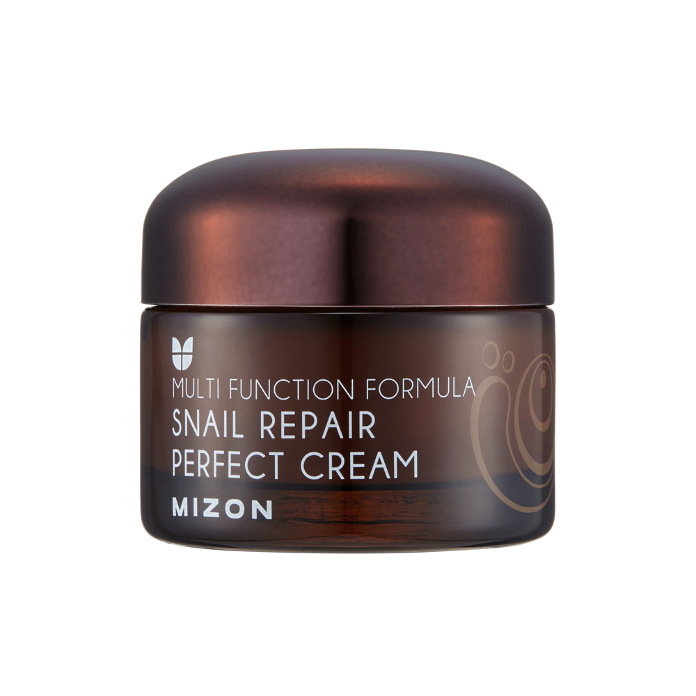 Levně Mizon Pleťový krém s filtrátem hlemýždího sekretu 60% pro problematickou pleť (Snail Repair Perfect Cream) 50 ml