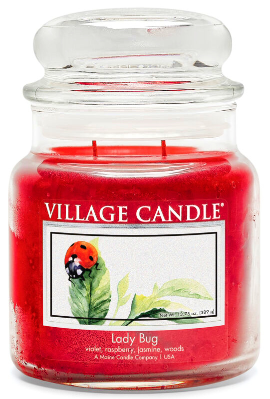 Village Candle Vonná svíčka ve skle Beruška (Lady Bug) 389 g