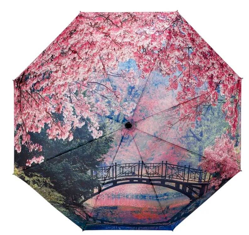 Blooming Brollies Dámský skládací plně automatický deštník GFFCB