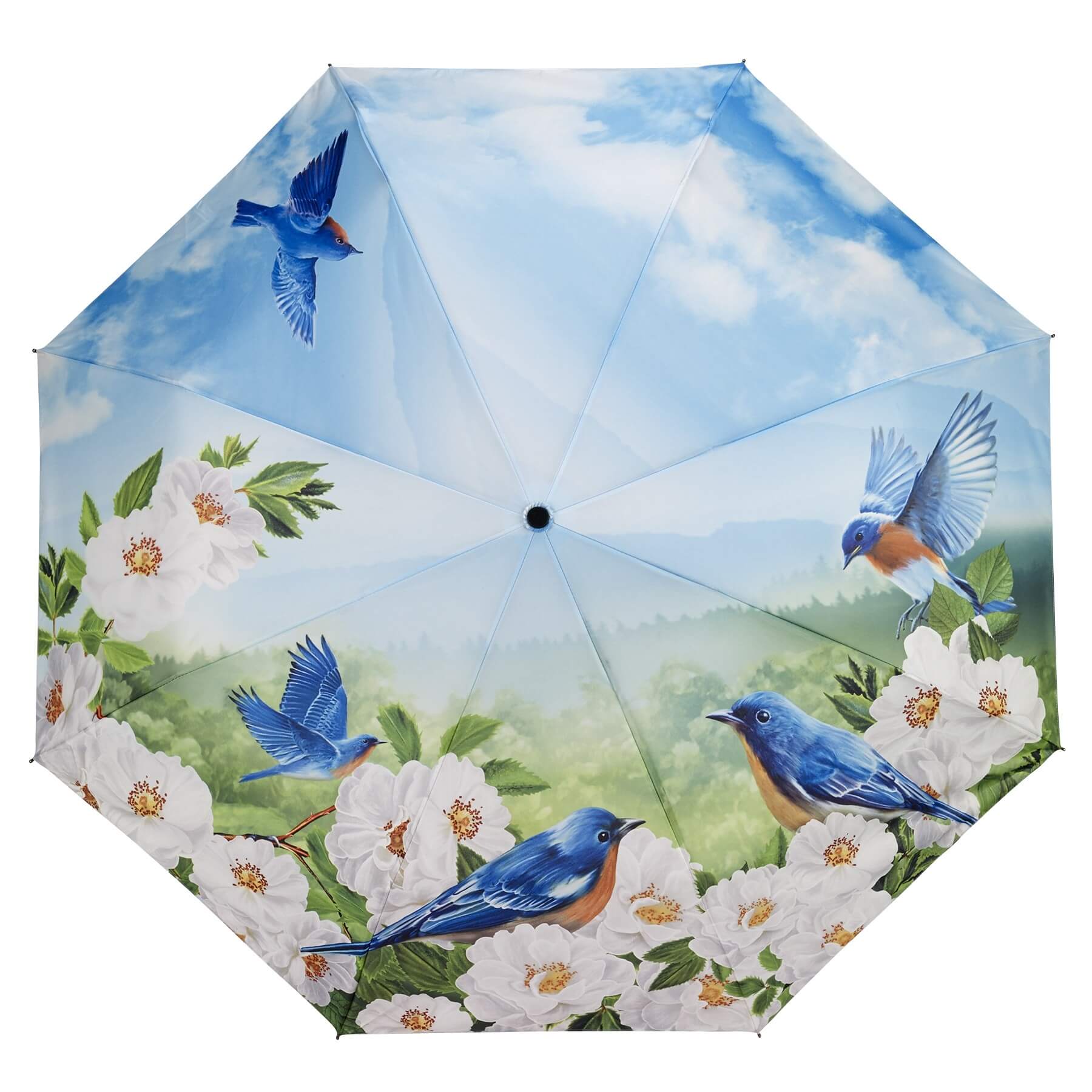 Зонты с принтом