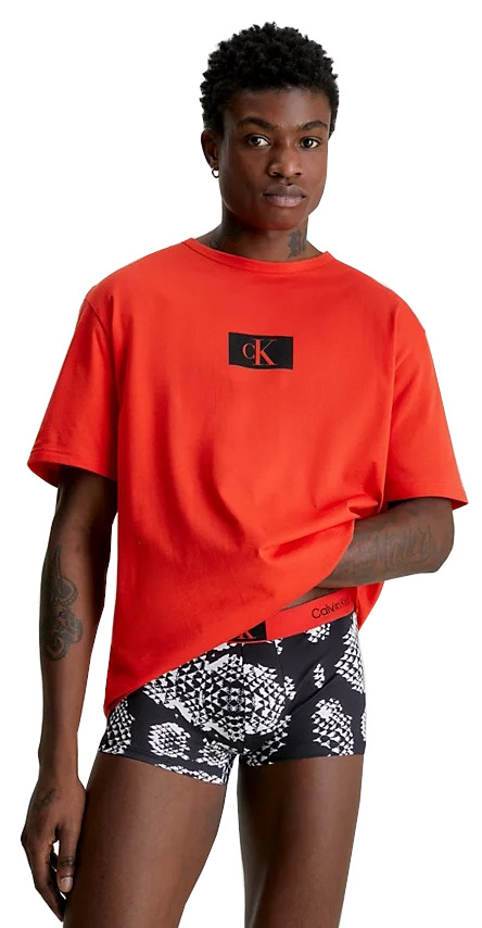 Calvin Klein Pánské triko CK96 Regular Fit NM2399E-XNZ M