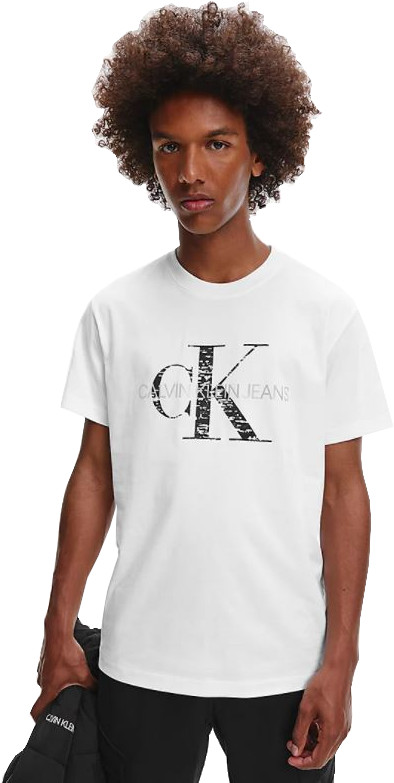 Calvin Klein Pánské triko Regular Fit J30J318723YAF L