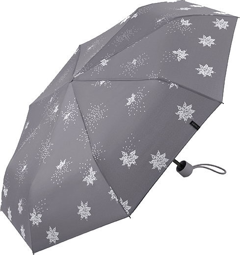 Levně Esprit Dámský skládací deštník Mini Manual 58723 silver metalic