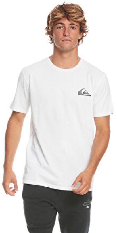 Quiksilver Férfi póló MW Mini Logo Regular Fit EQYZT07474-WBB0 L