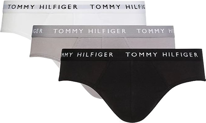 Tommy Hilfiger 3 PACK - pánské slipy UM0UM02206-0TG L