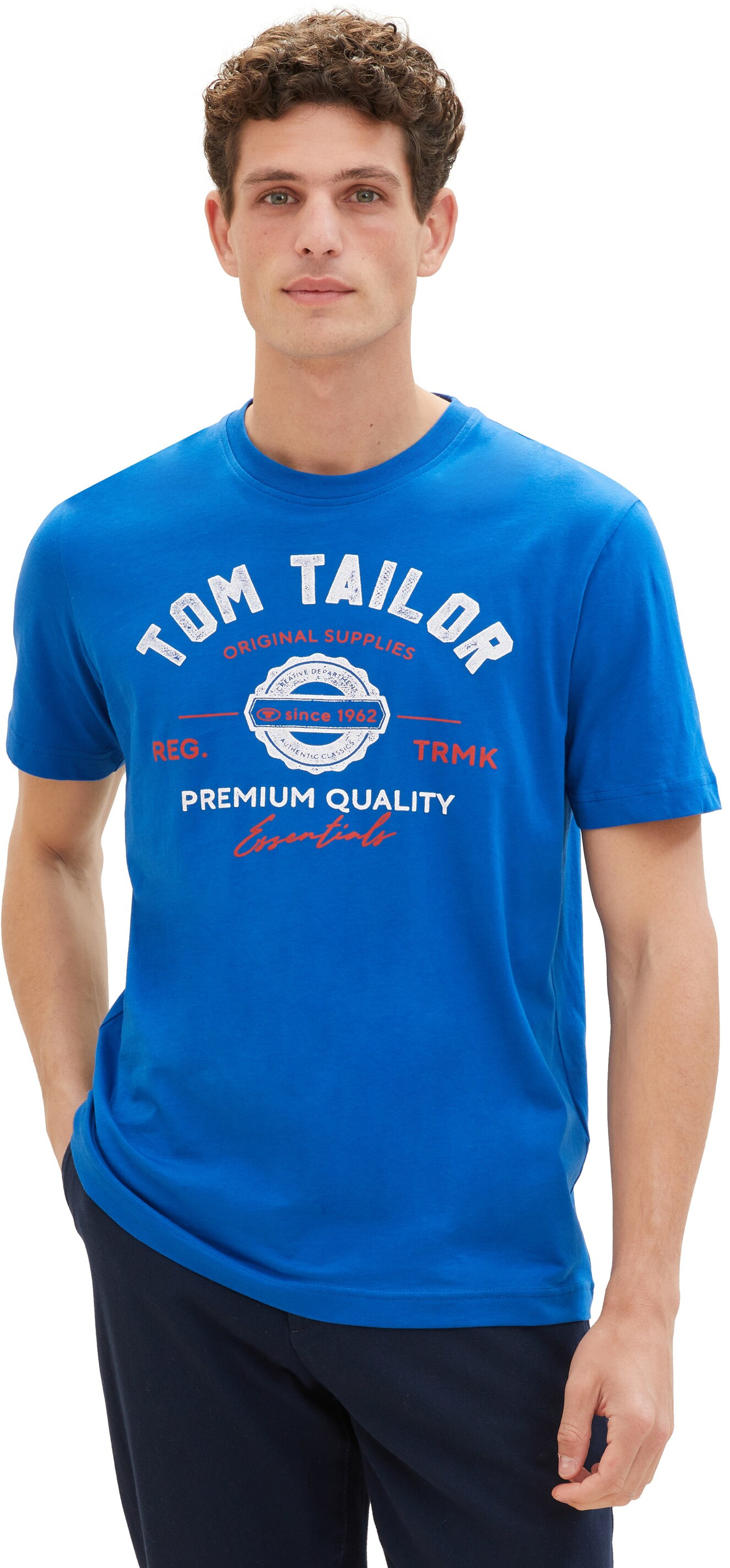 Tom Tailor Pánské triko Regular Fit 1037735.12393 S