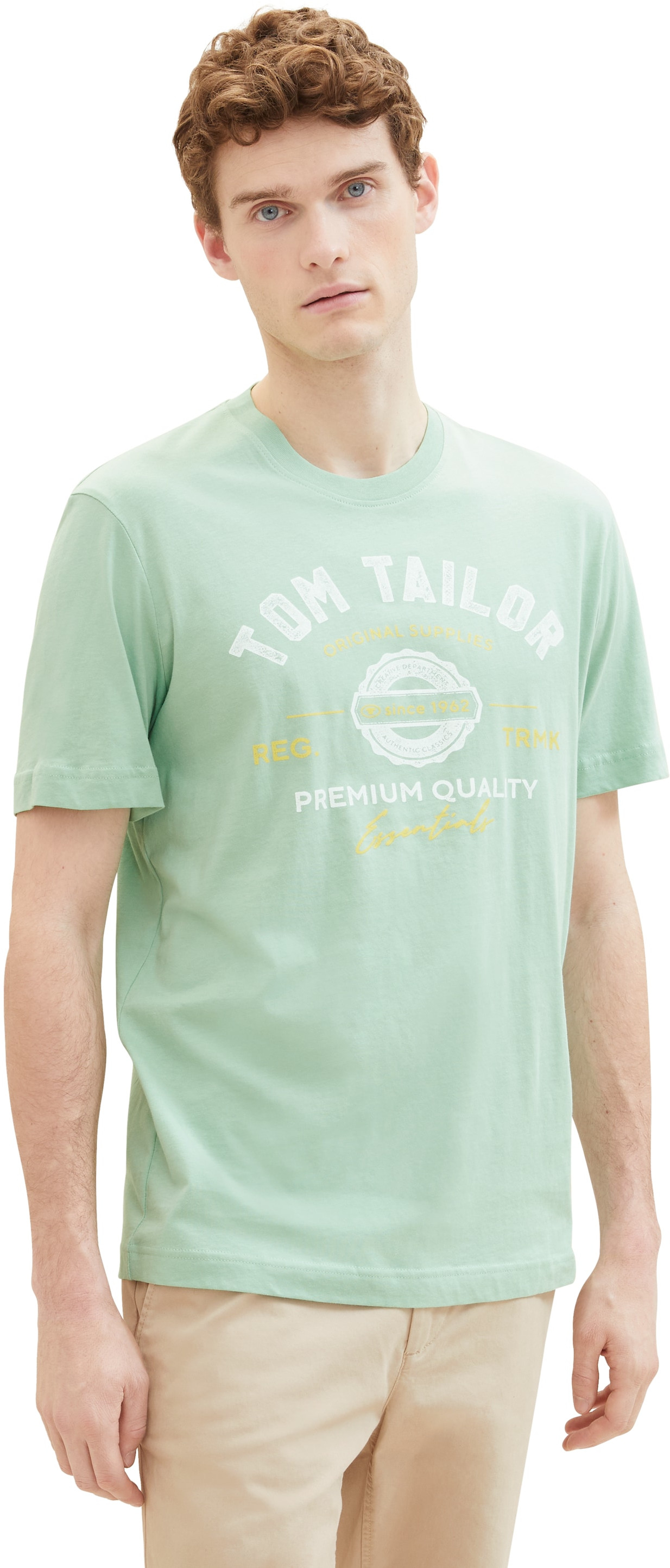Levně Tom Tailor Pánské triko Regular Fit 1037735.23383 M