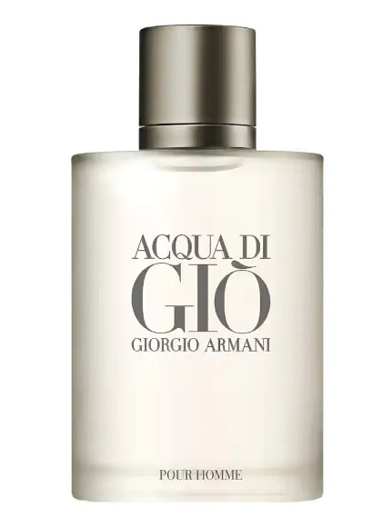 Giorgio Armani Acqua Di Gio Pour Homme – EDT 100 ml