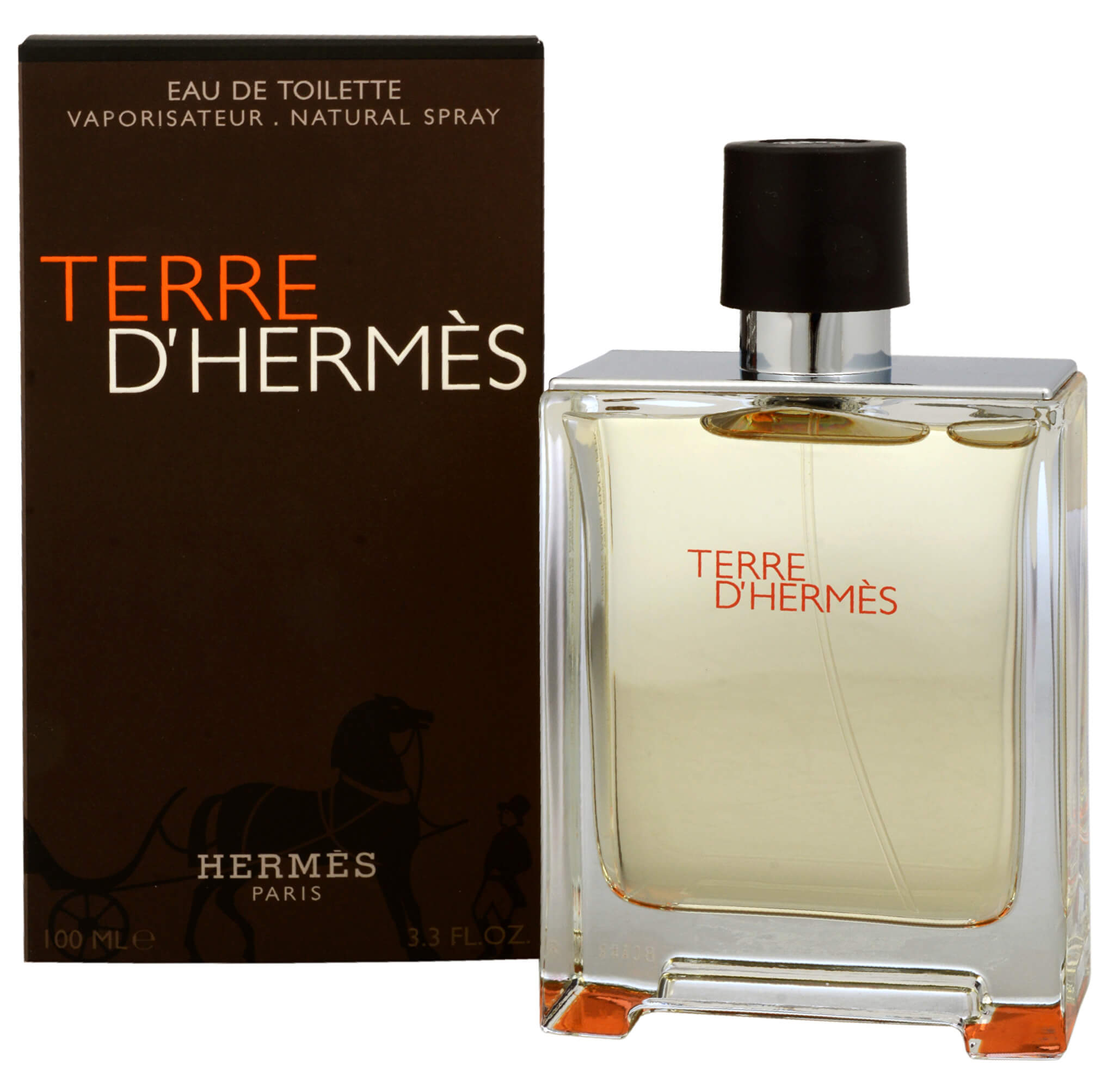 Hermes Terre D´ Hermes - EDT 100 ml + 2 měsíce na vrácení zboží