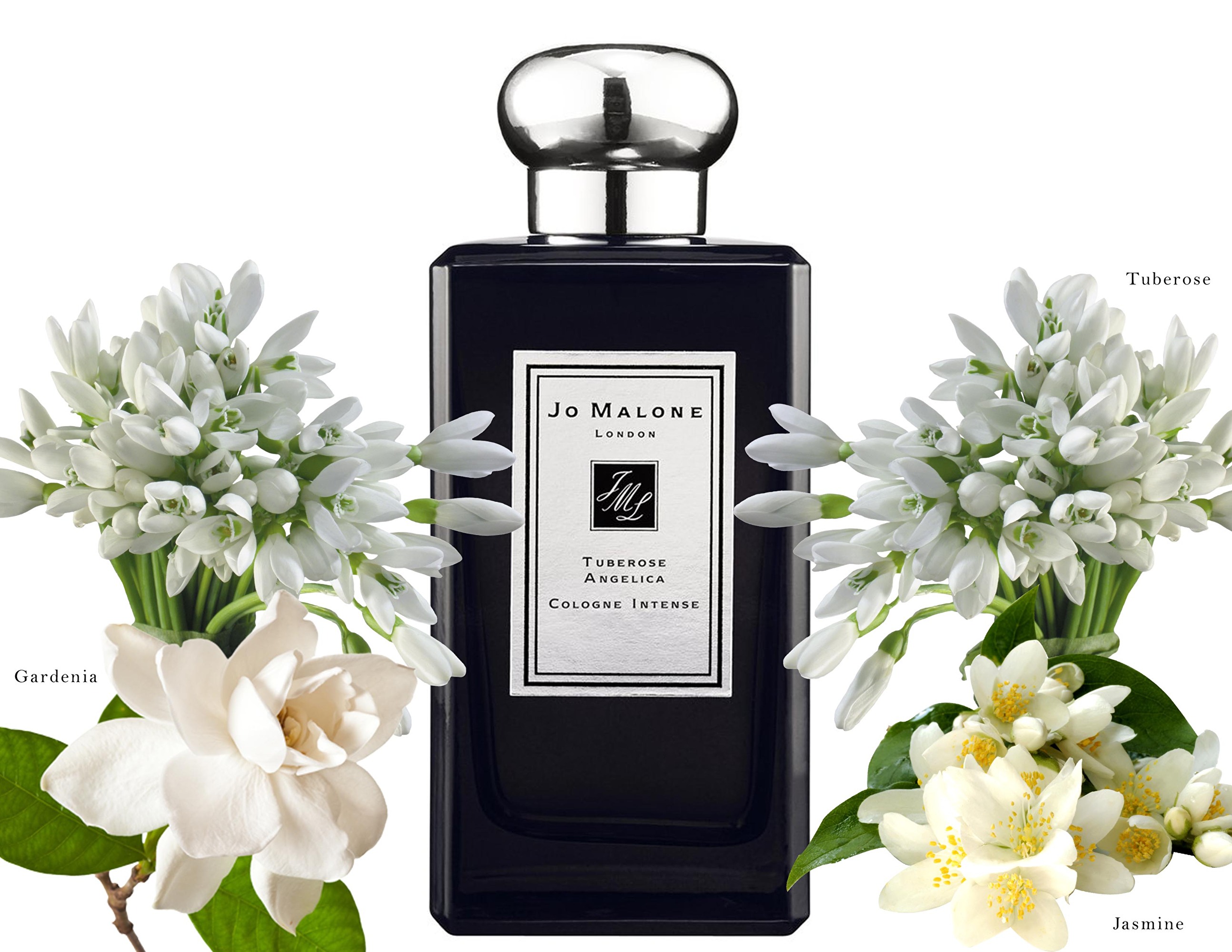Parfum Femme Jo Malone EDC Tuberose Angelica 100 ml main image 1