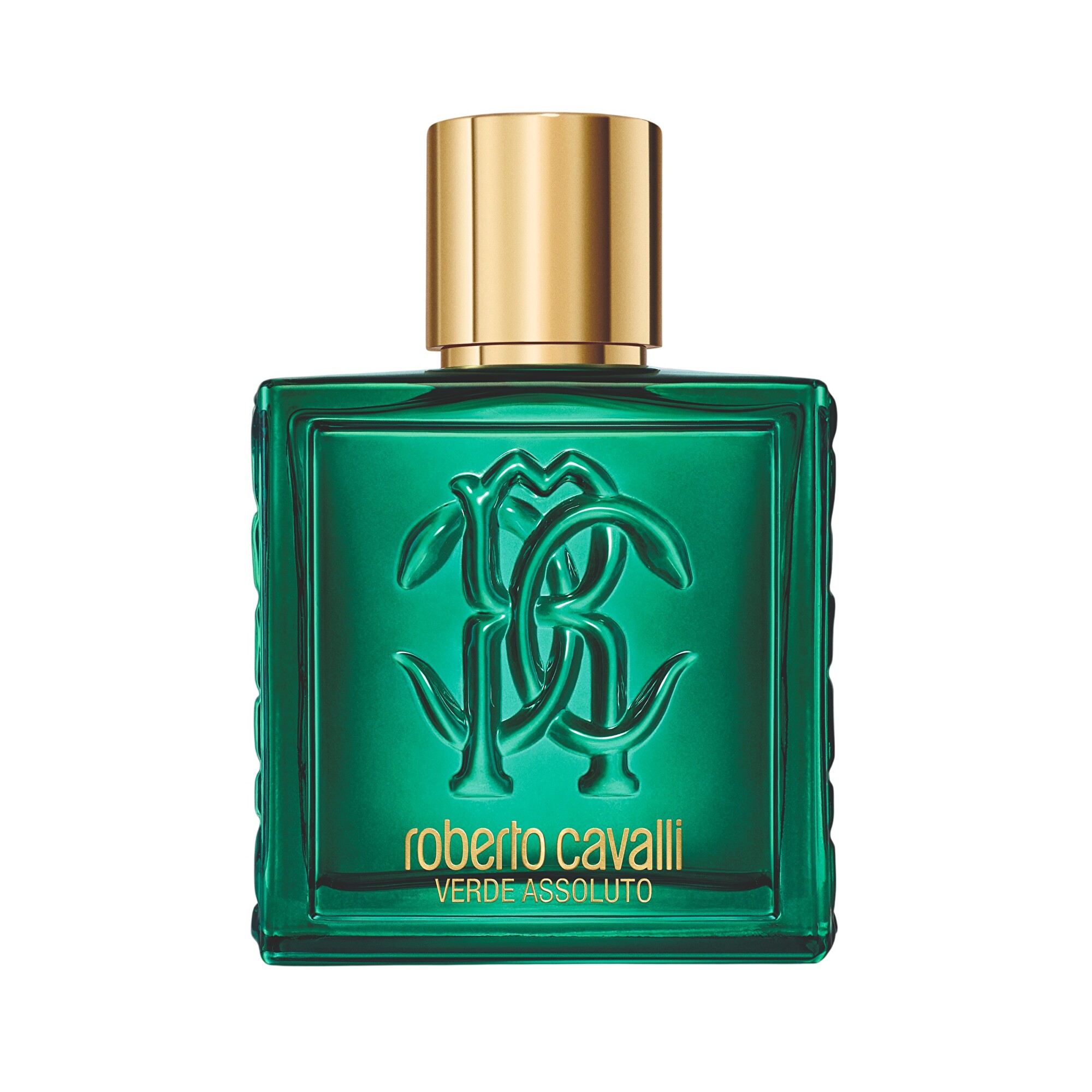 Parfém Roberto Cavalli Uomo Verde Assoluto v černé krabičce