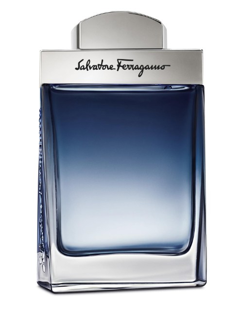 Salvatore Ferragamo Subtil Pour Homme - EDT 100 ml