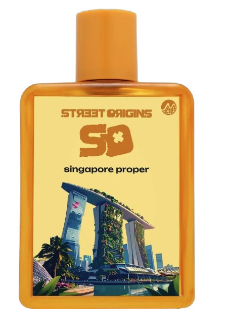 Levně Street Origins Singapore Proper For Him - EDP 75 ml