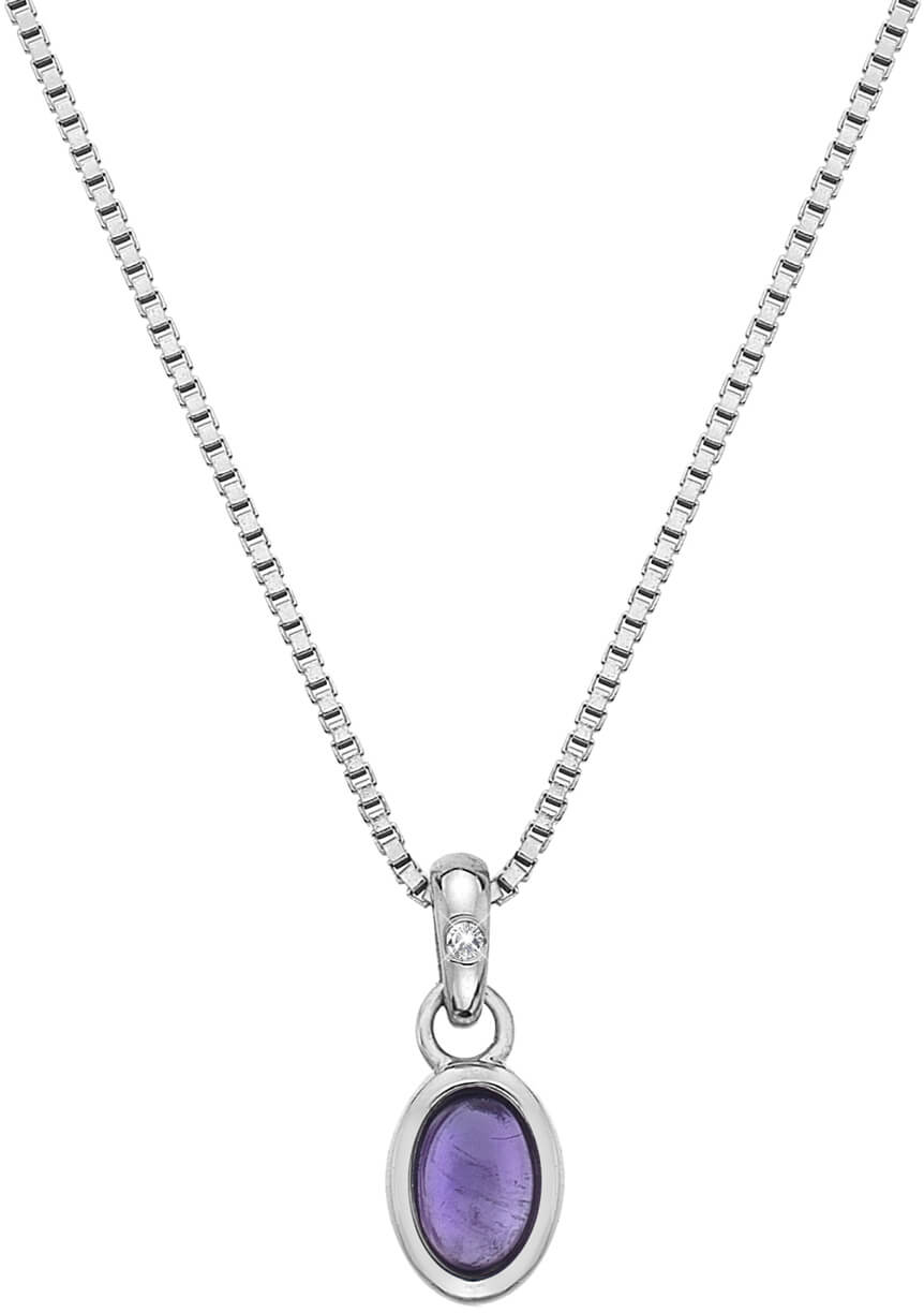 Stříbrný náhrdelník pro narozené v únoru Birthstone DP755