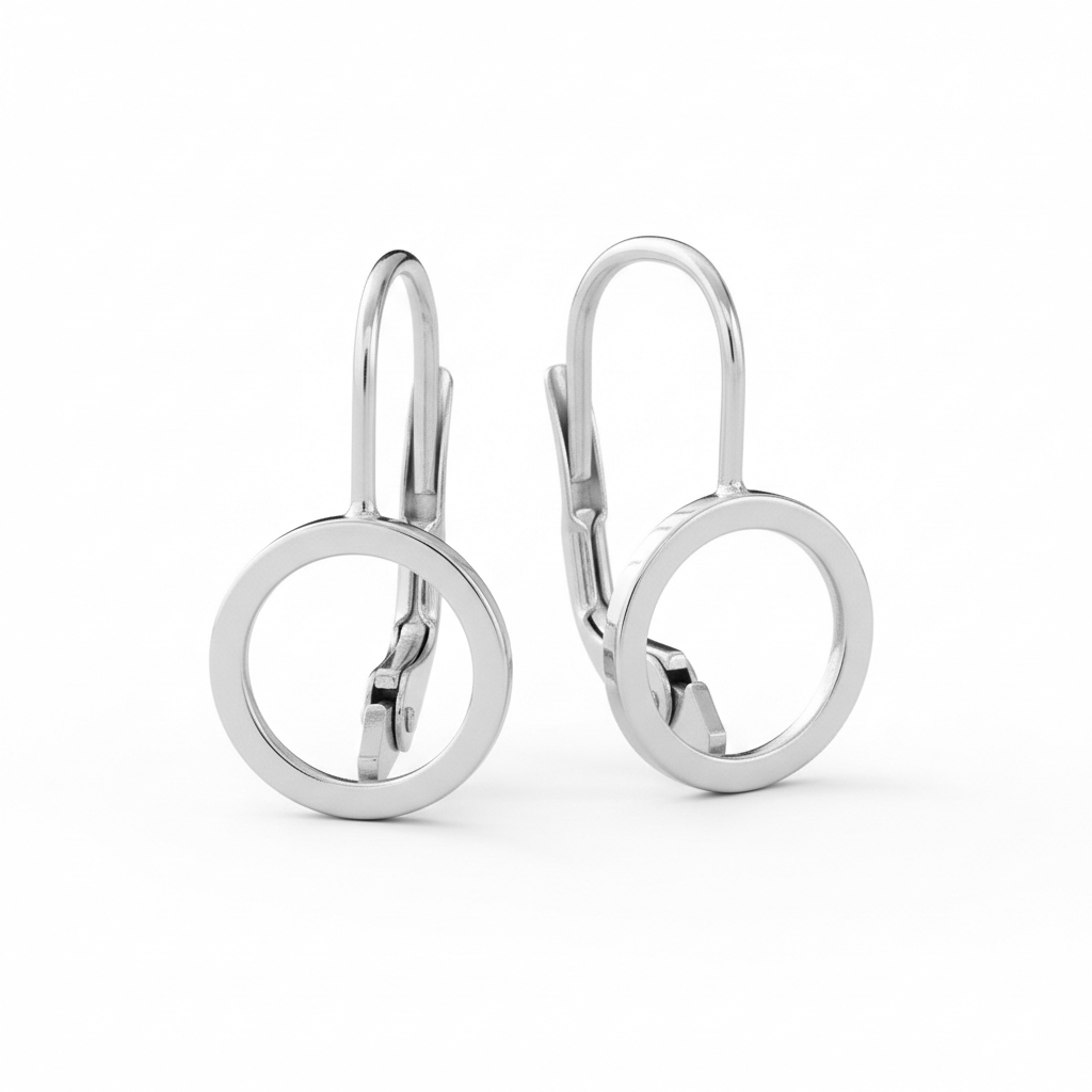 Soliter Minimalistické strieborné visiace náušnice 431 001 02871 04
