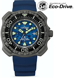 Promaster Eco-Drive Titanium BN0227-09L