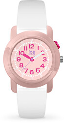 Ice-Find 024914