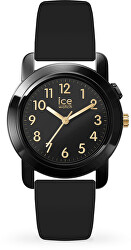 Ice-Find 024917